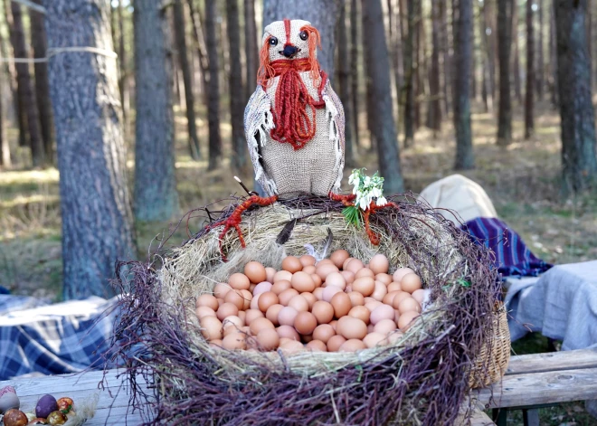 Latvija – olu ražošanas karaļvalsts