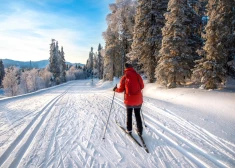 У жителей Латвии появится прямой путь в одно из самых сказочных зимних мест Финляндии