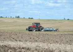 Правительство Латвии готовит денежный подарок одной категории населения страны