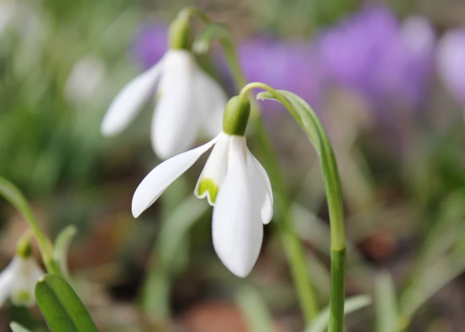 В среду с усилением ветра температура может достичь +16 градусов