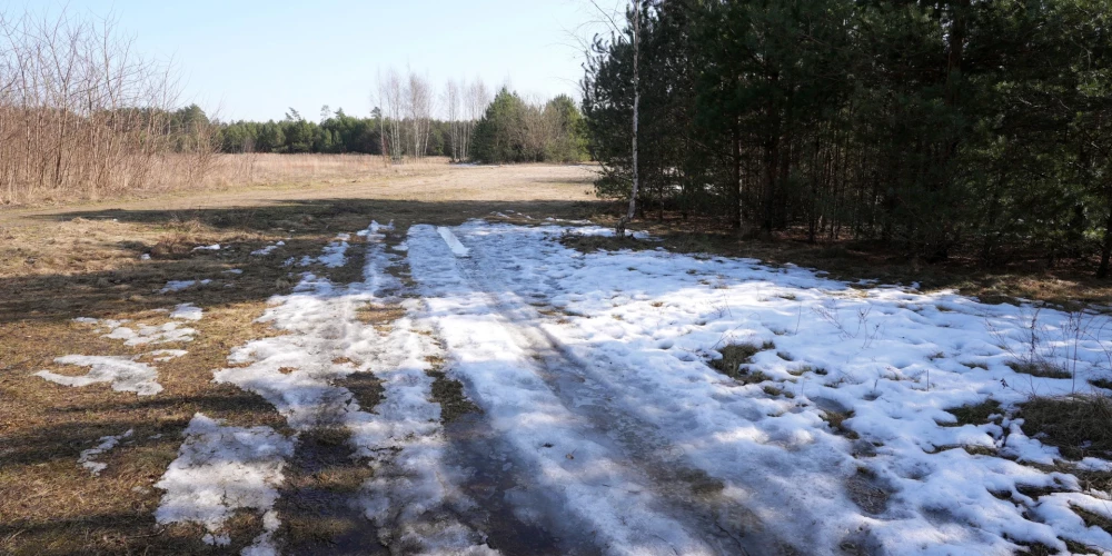 Синоптики прогнозируют для Латвии прохладное начало апреля.
