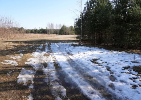 Синоптики прогнозируют для Латвии прохладное начало апреля.