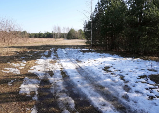 Первая половина апреля в Латвии может неприятно удивить: ожидается похолодание после теплого марта