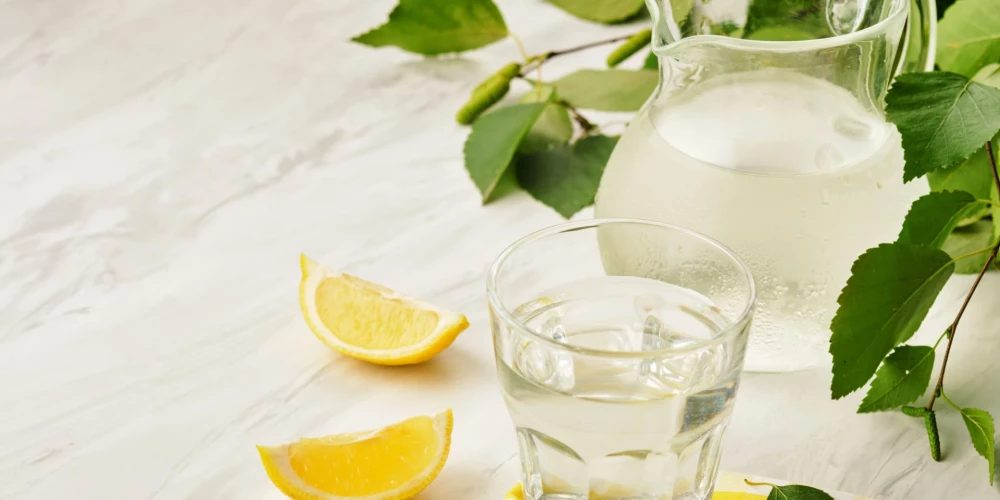 Bērzu sulas var dzert svaigas vai pagatavot dzērienus. Arī vasarai. 