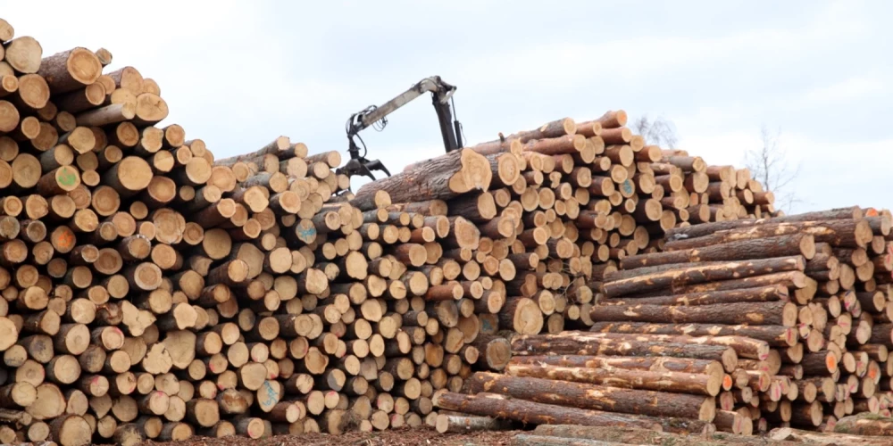 Sākts kriminālprocess par iespējamiem noziegumiem saistībā ar atbalstu kokrūpniekiem. 