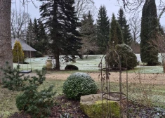 Dārzā pirmais iespaids ir ļoti svarīgs. Latviskā sētā saimnieks neplānoja “goda iebraukšanu” gar kūtspakaļu...