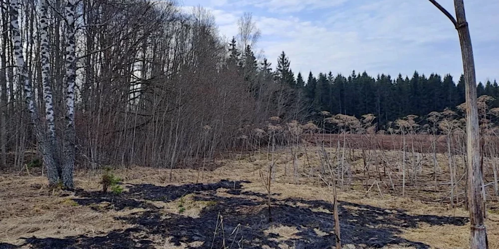 Drons Latvijas robežu Krāslavas novadā šķērsoja plkst. 2.19, bet 10 minūtes vēlāk, plkst. 2.39, netālu no Dobročinas ciema eksplodēja. 