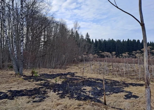 Drons Latvijas robežu Krāslavas novadā šķērsoja plkst. 2.19, bet 10 minūtes vēlāk, plkst. 2.39, netālu no Dobročinas ciema eksplodēja.