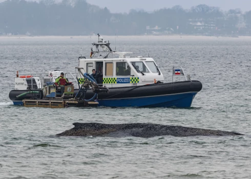 Milzu kuprvalis pie Vācijas piekrastes tika atrasts pirmdienas rītā