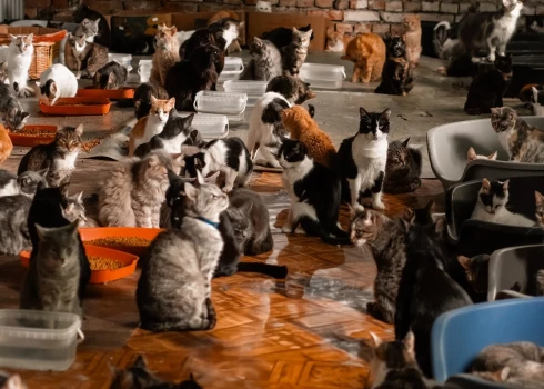 Иллюстративное фото.