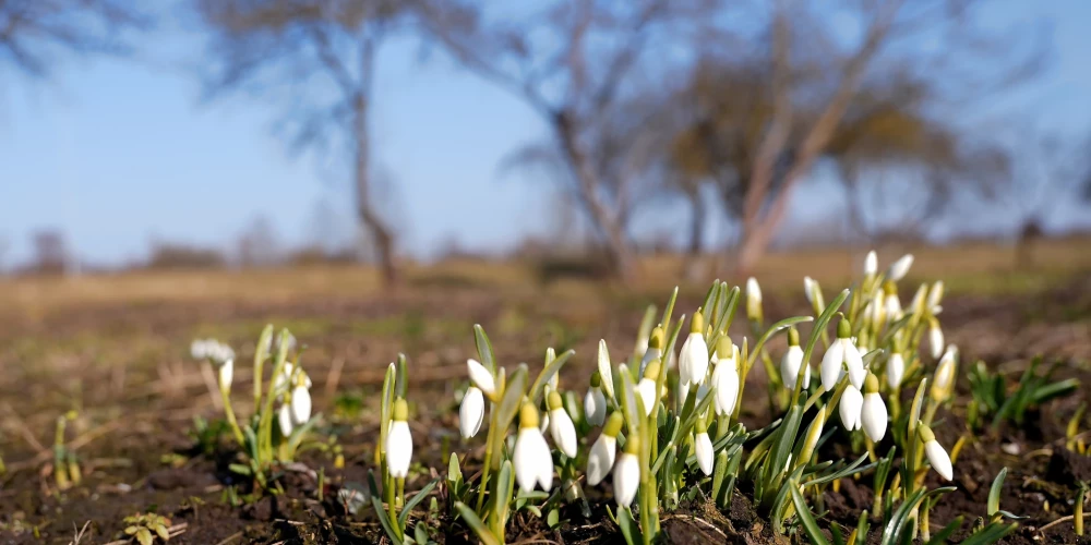 Иллюстративное фото.