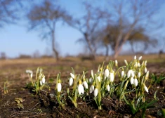 В пятницу в Латвию вернется солнце