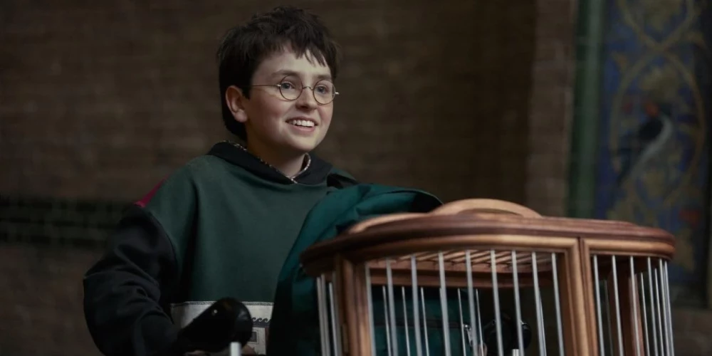 Гарри Поттера в сериале сыграет Доминик Маклафлин.