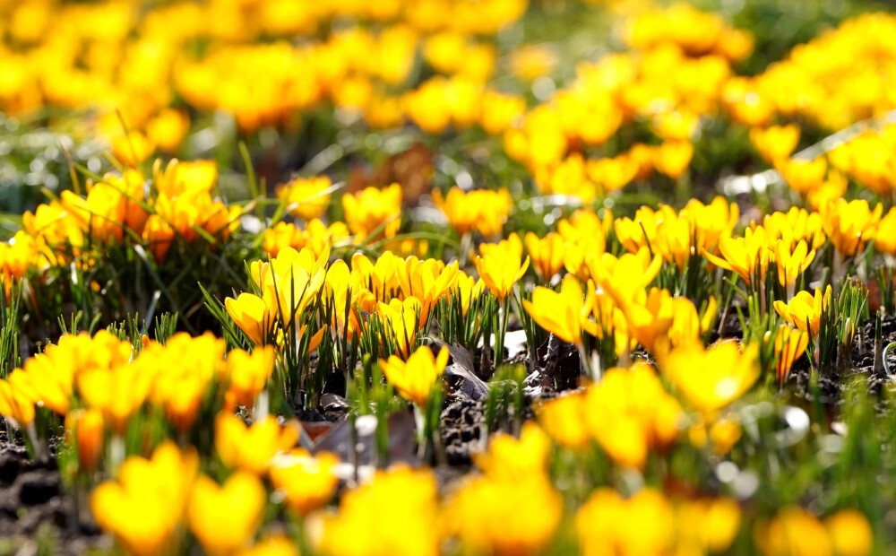 Mēneša laikā krituši jau 127 siltuma rekordi, taču aprīļa sākumā laikapstākļi mainīsies
