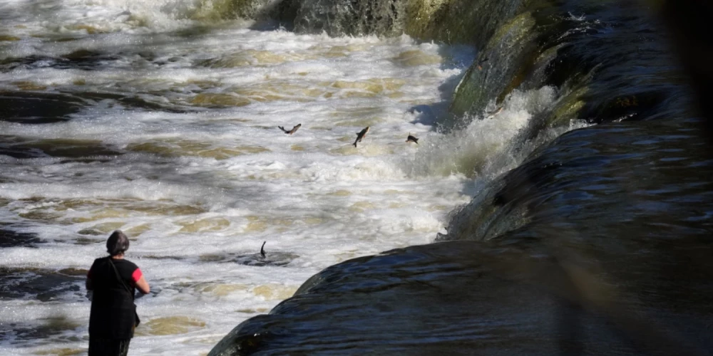 Ventas rumba Kuldīgā. 