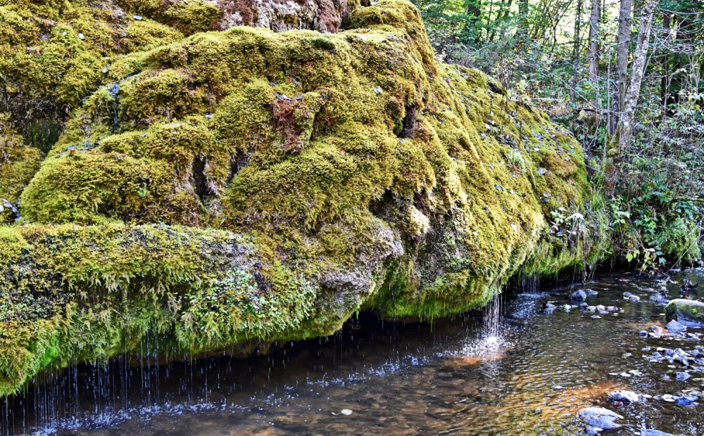 Vēlas ieviest maksu par piekļuvi populāram dabas objektam Latvijā