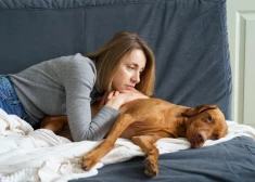 Kā saprast, ka vajag pieņemt lēmumu - laiks mājas mīluļa eitanāzijai