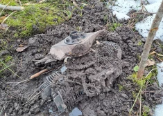 Zemessardze norāda uz iespējamo iemeslu, kāpēc Krāslavas novadā avarējis drons. VIDEO