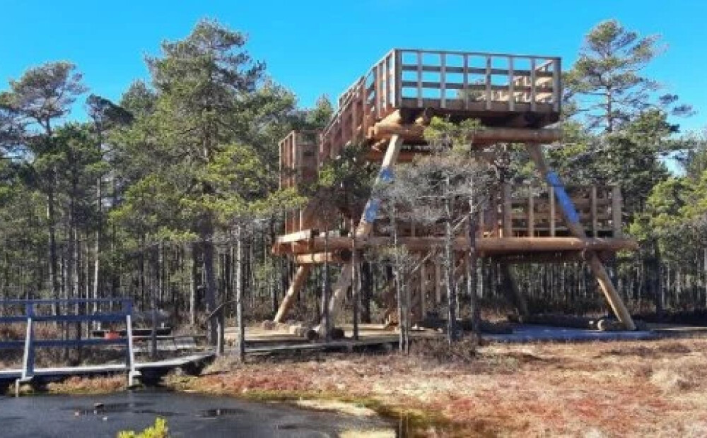 Niedrāju-Pilkas purvā uzbūvēta jauna skatu platforma