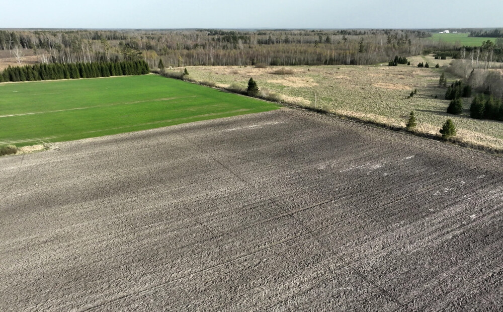 Līdz novembrim veiks Talsu topogrāfiskā plāna sagatavošanu un apsekošanu dabā