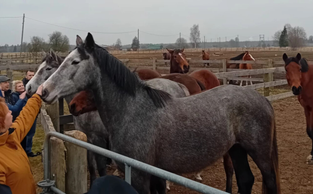 Tūrisma nozares uzņēmēji iepazīst viesmīlības piemērus novadā