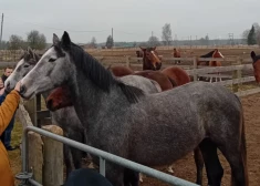 Tūrisma nozares uzņēmēji iepazīst viesmīlības piemērus novadā