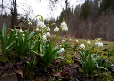 В ночь на субботу ожидается легкий мороз, днем - до +13 градусов