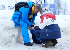 Diskvalificētā ukraiņu skeletonista Heraskeviča tēvs atklāj vēl vienu faktu, kāpēc pieprasīt ķiveres maiņu bija absurds