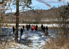 Sabilē aicina doties pārgājienā un iepazīt putnus kopā ar ornitologu