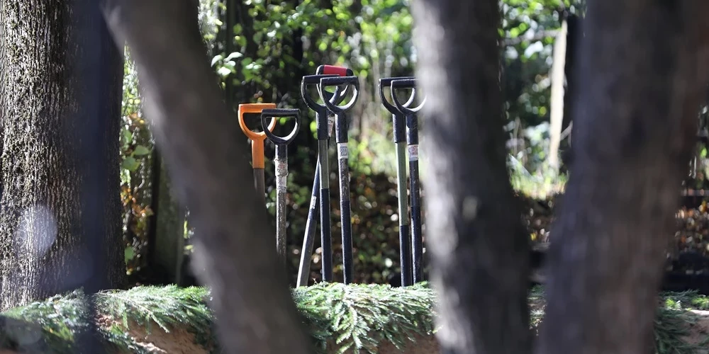 Иллюстративное фото.