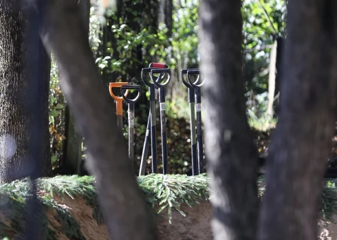 Иллюстративное фото.