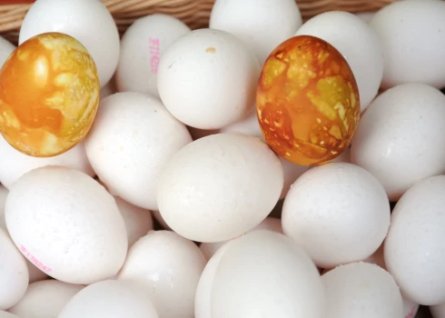 Иллюстративное фото.