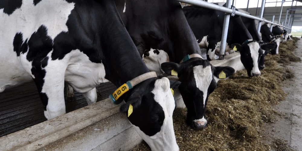 Иллюстративное фото.