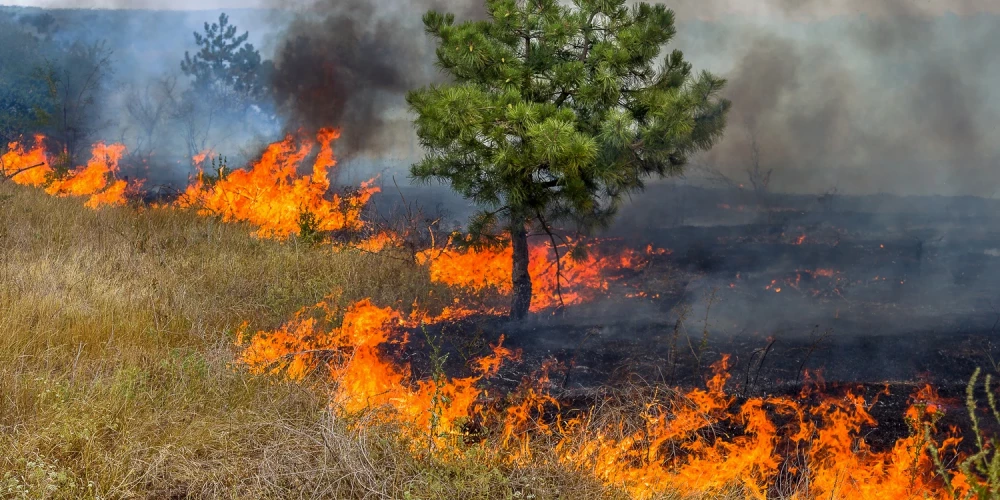 Иллюстративное фото.