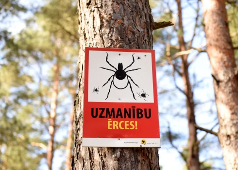 Brīdinājuma uzraksts "Uzmanību ērces!" Dabas parkā "Piejūra" priežu mežs Mangaļsalā.