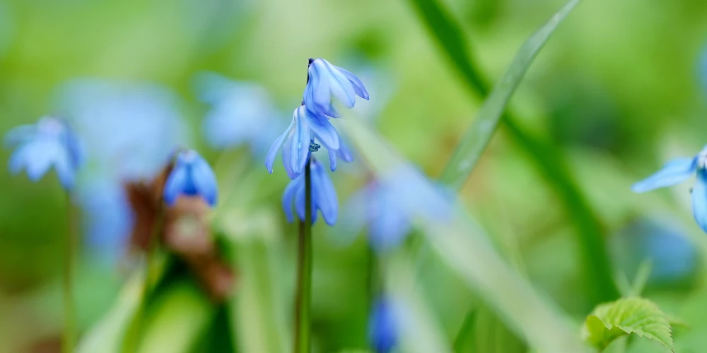 Иллюстративное фото.