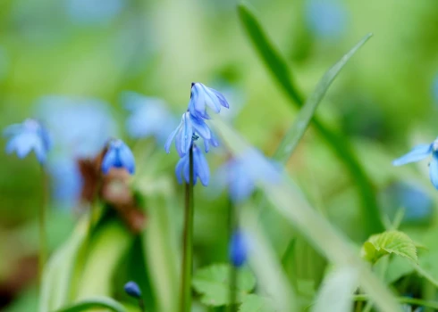 Иллюстративное фото.