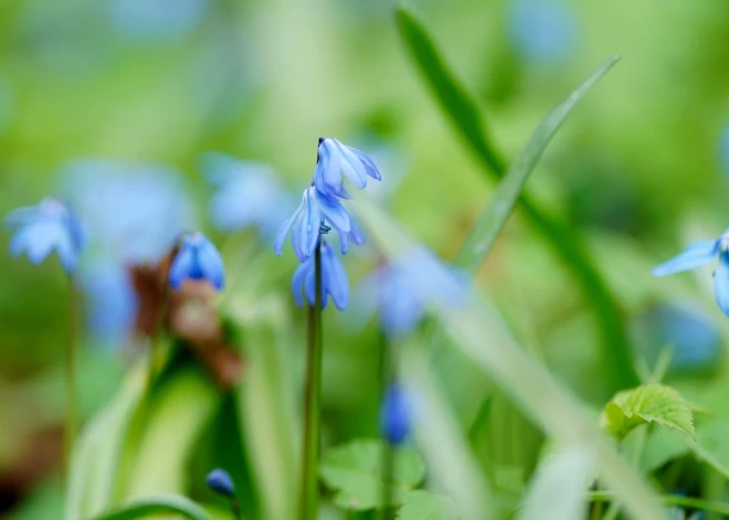 В воскресенье воздух прогреется до +16 градусов
