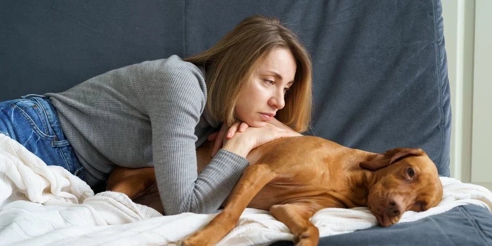 Иллюстративное фото.