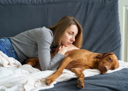 Иллюстративное фото.