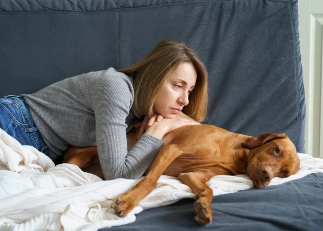 Самое тяжелое решение: как понять, что пора усыпить домашнего питомца