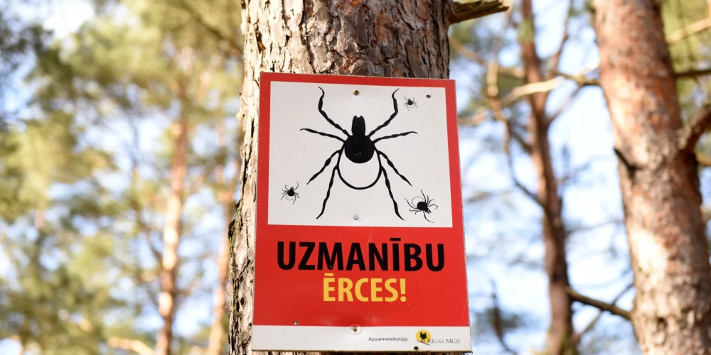 Sākoties pavasarim, pamodušās arī bīstamās ērces