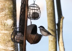 В Латвии ожидается переменчивая неделя с туманами, дождями и прохладными ночами