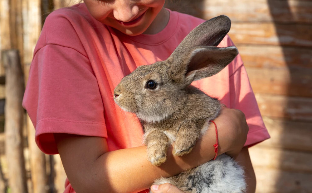 Pilnmēness laiks pirms Lieldienām būs nemierīgs - horoskops visām zodiaka zīmēm no 30.03. līdz 5.04.