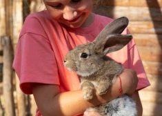 Pilnmēness laiks pirms Lieldienām būs nemierīgs - horoskops visām zodiaka zīmēm no 30.03. līdz 5.04. 