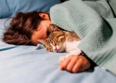 Kāpēc pavasarī jūtamies nogurušāki? Zinātnieki atklāj negaidītu iemeslu