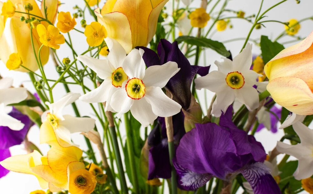 Šonedēļ populārākie vārdi – Vija un Valda