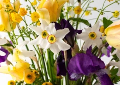 Šonedēļ populārākie vārdi – Vija un Valda