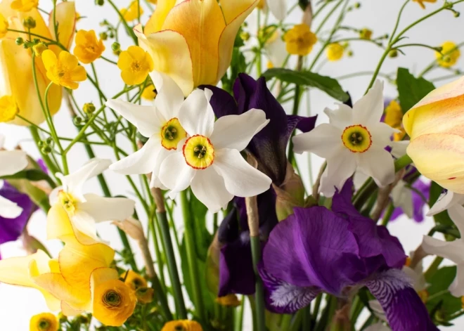 Šonedēļ populārākie vārdi – Vija un Valda