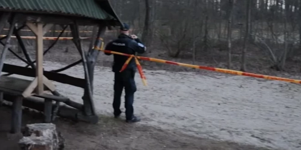 Aizvadītajā nedēļā visas trīs Baltijas valstīs nogāzās ukraiņu droni.